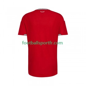 Tenue Pays de Galles Domicile 2026 Maillot de Foot